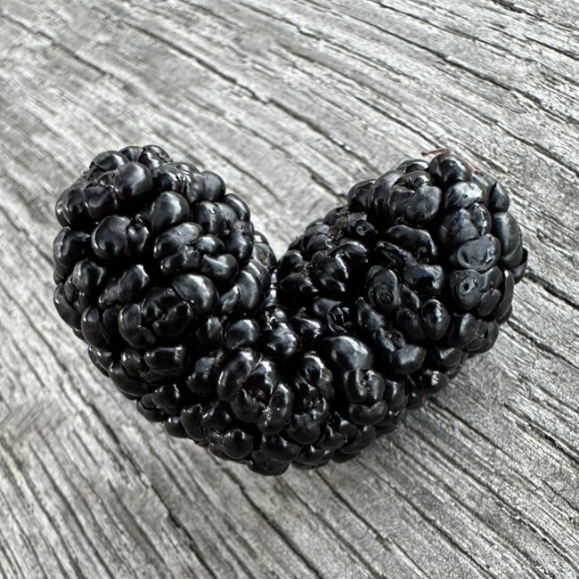 Eine Maulbeere, die als Herz gewachsen ist