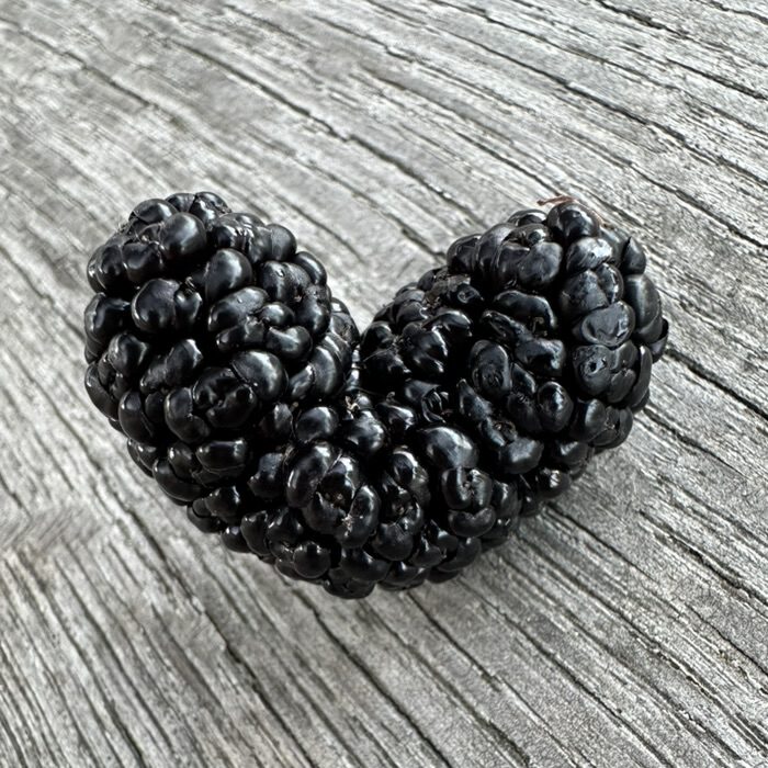 Eine Maulbeere, die als Herz gewachsen ist