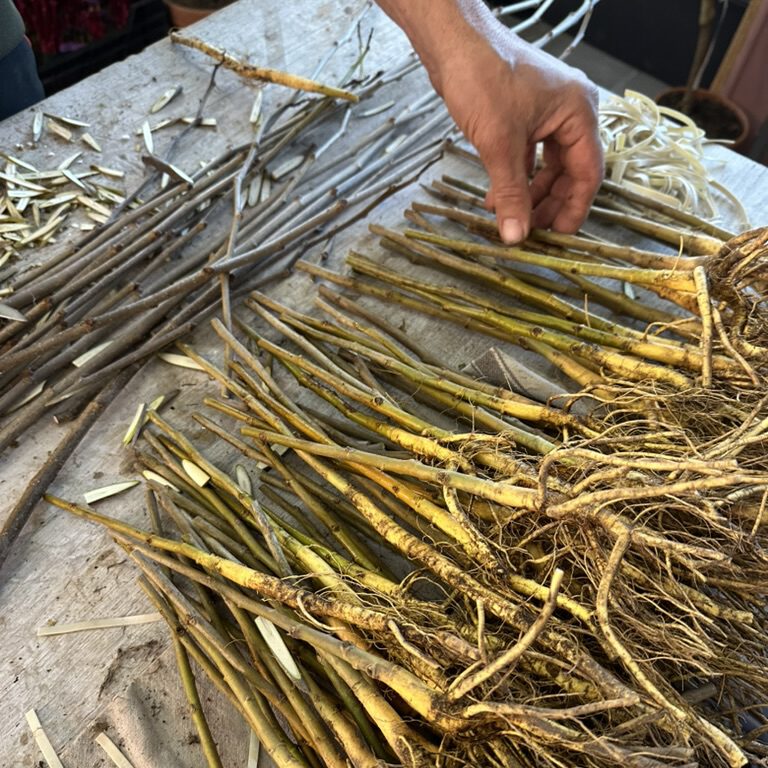 Rohmaterial zum Veredeln auf einem Tisch