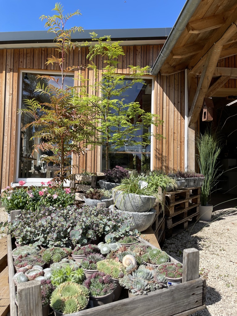 Aussenanlage-Eingang_Alex-Meyer