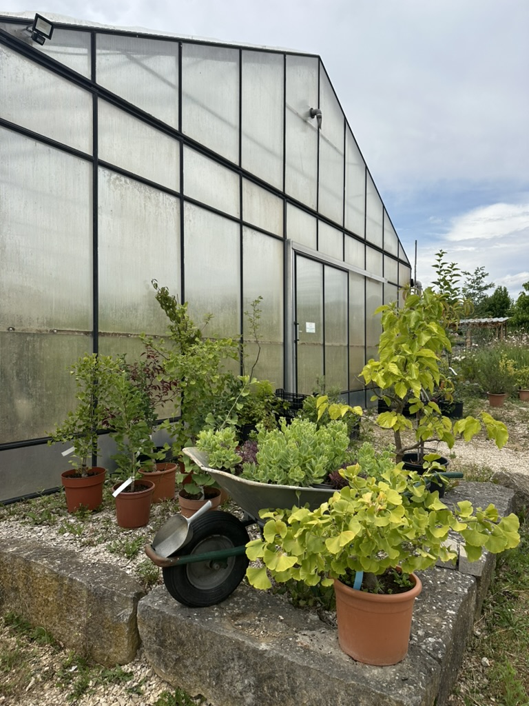 Aussenanlage-Gewaechshaus_Alex-Meyer