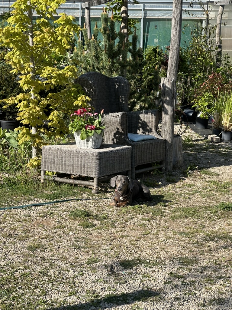 Aussenanlage_Alex-Meyer