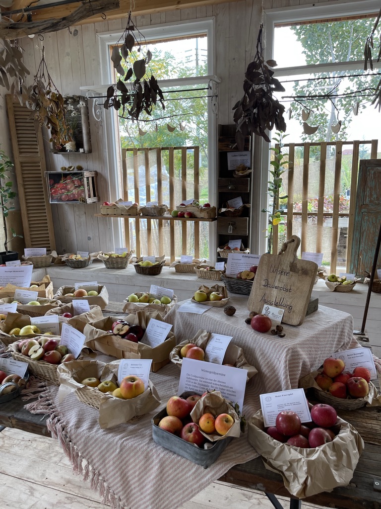 Innenraum-Obst_Alex-Meyer