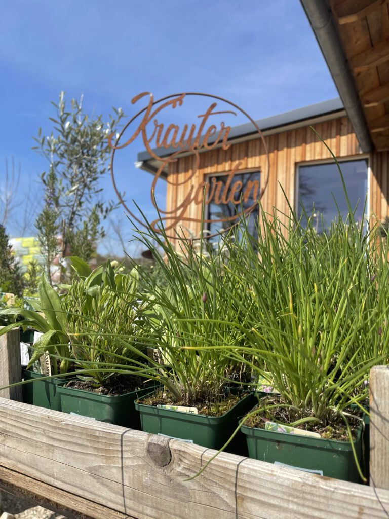 Kraeutergarten_Alex-Meyer