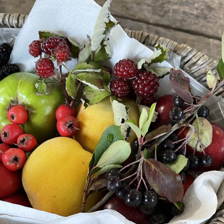 Korb voll bunter Fruechte