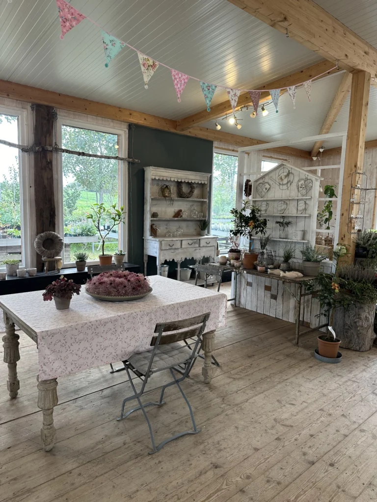 Verkaufsraum2_Alex-Meyer