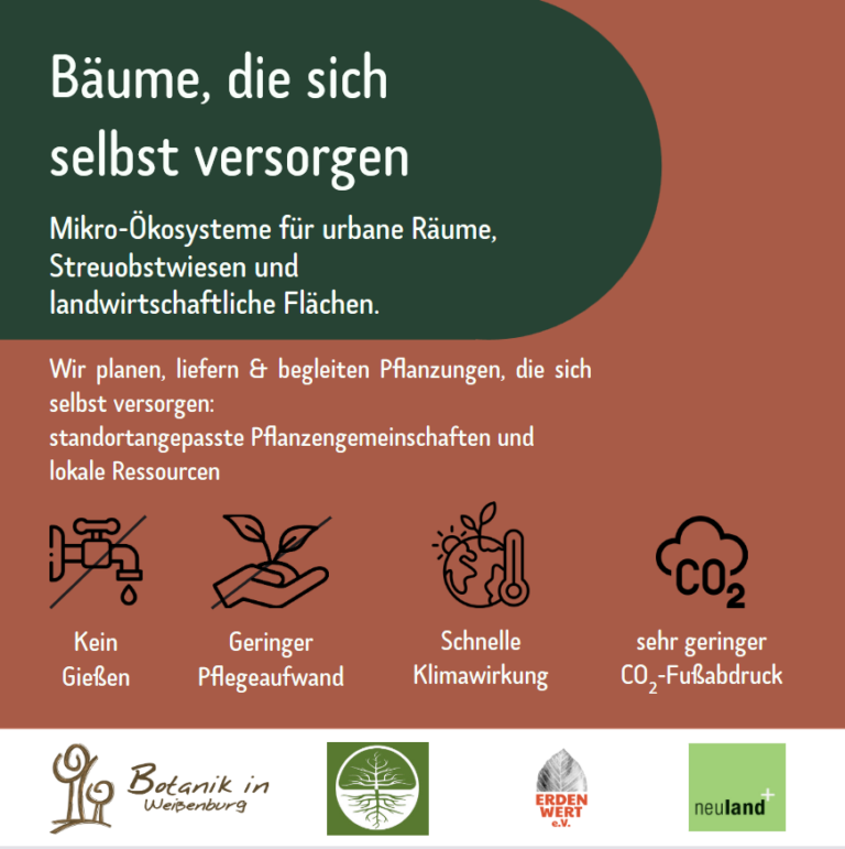 Bäume, die sich selbst versorgen Infoplakat